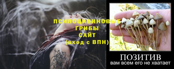 первитин Протвино