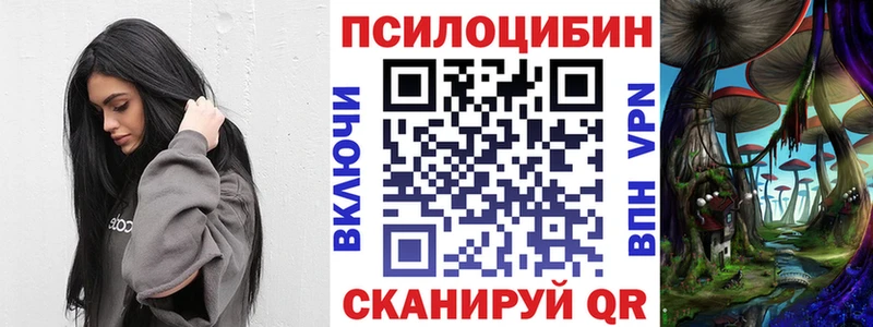 Псилоцибиновые грибы Psilocybe  Таруса 