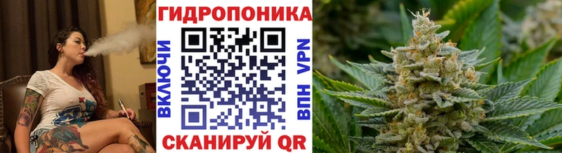 Шишки марихуана планчик  Таруса 